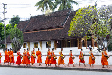 Buddhistische Mönche erhalten Reis von Einheimischen während eines täglichen Rituals am frühen Morgen, das als Sai Bat (Morgengabe) bekannt ist, in Luang Prabang, Laos, Indochina, Südostasien, Asien - RHPLF18493