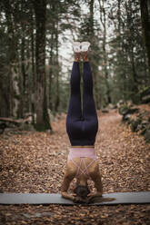 Sportswoman doing headstand while exercising in forest - ACPF00953