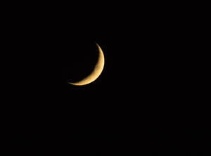 Wachsende Mondsichel leuchtet gegen den pechschwarzen Himmel bei Nacht - ZCF01023