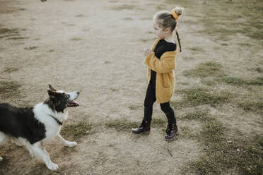 Girl holding stick while playing with dog on playground - GMLF00899