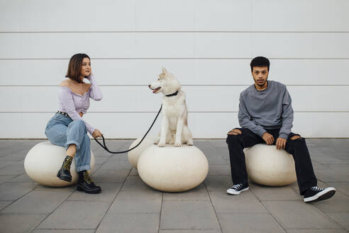 Couple sitting with social distance by dog on white concrete ball against wall - MIMFF00305