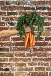 Ältere Frau hält ein Bündel Karotten an einer Mauer - VEGF03298