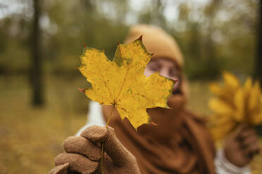 Junge Frau zeigt Herbstblatt in öffentlichem Park - OYF00272