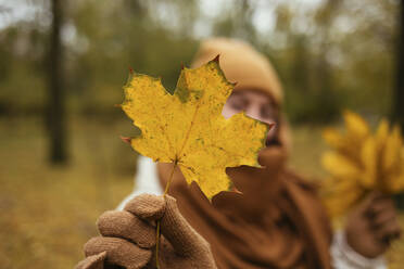 Young woman showing autumn leaf in public park - OYF00272