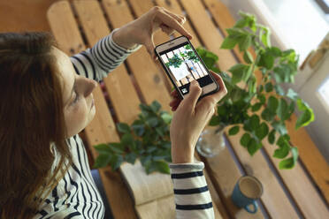 Woman taking photo of book and coffee cup by potted plant while sitting at home - AFVF07781