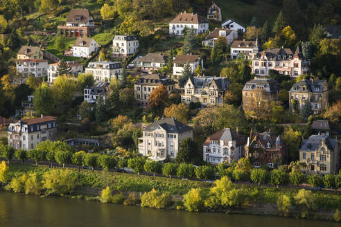 Germany, Baden-Wurttemberg, Heidelberg, Villas on bank of Neckar river - WDF06428