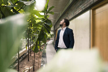 Male entrepreneur with hands in pockets looking at plants in corridor at office - JOSEF02662