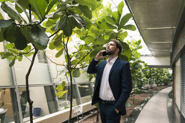Geschäftsmann im Gespräch auf dem Handy mit der Hand in der Tasche von Pflanzen im Büro Korridor - JOSEF02663