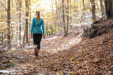 Sportlerin geht auf einem Pfad und erkundet den Wald - JSRF01249