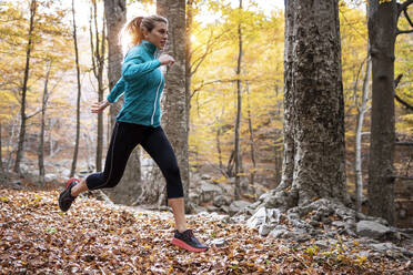 Sportler beim Laufen im Wald im Herbst - JSRF01255