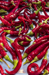 Close-up of fresh red chili pepper outdoors - NDF01186