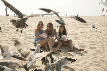 Young female friends feeding popcorn to seagulls at beach - AJOF00962