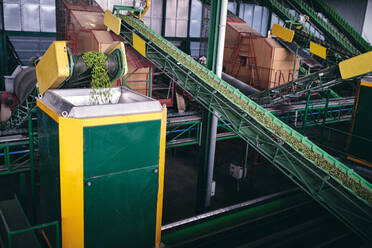 Hoher Winkel eines Industriegebiets mit modernen Maschinen, die Gemüse auf Förderbändern in einer Fabrik sortieren - ADSF19006