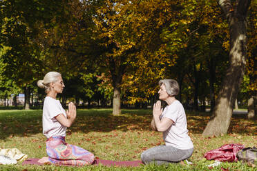 Reife Freundinnen kniend im Herbst Park, Yoga üben - VYF00346