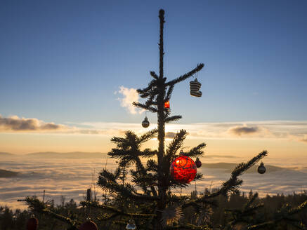 Weihnachtsbaum auf dem Gipfel des Heugstattbergs bei nebligem Sonnenuntergang - HUSF00148