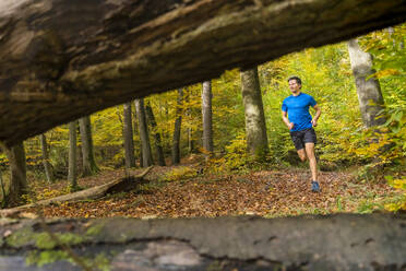 Sportler beim Trailrunning im Herbstwald am Kappelberg, Deutschland - STSF02722