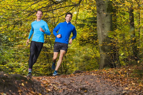 Männliche Teilnehmer beim Trailrunning im Herbstwald über Schlamm am Kappelberg, Deutschland - STSF02728