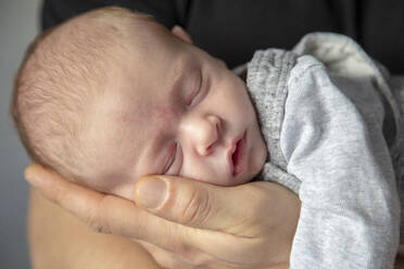 Father holding cute son with his hand in studio - NGF00732