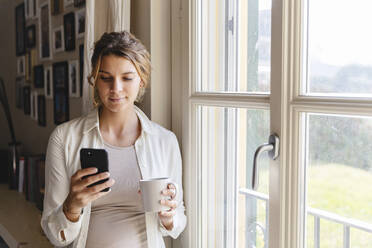 Young pregnant woman using smart phone by window at home - MRAF00609