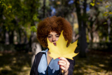 Schöne junge Frau mit krausem Haar zeigt Herbstblatt an einem sonnigen Tag - OCMF01861
