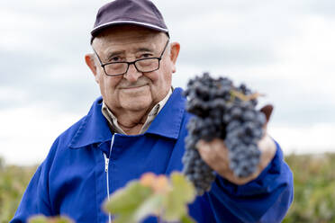 Älterer Mann mit einer Traube schwarzer Weintrauben gegen den Himmel - EGAF01244