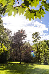 Reemtsma Park an einem sonnigen Tag - EGBF00537