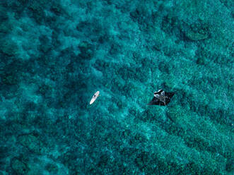 Aerial view of manta ray swimming beside lone surfer - KNTF06019