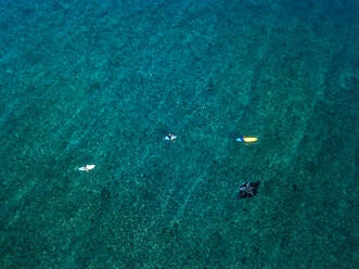 Luftaufnahme eines Mantarochens, der neben einer Gruppe von Surfern schwimmt - KNTF06023