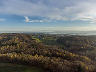 Luftaufnahme eines Herbstwaldes mit Dorf im Hintergrund - ELF02315