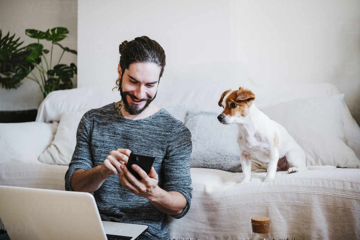 Man with laptop using mobile phone while sitting by dog at home stock photo