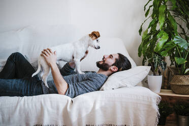 Smiling man playing with dog while lying on sofa at home - EBBF01795