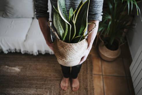 Junger Mann hält eine Sansevieria-Pflanze in einem Korbgeflecht, während er zu Hause steht - EBBF01816