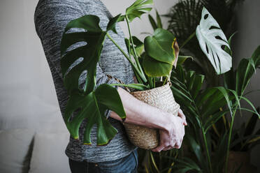 Junger Mann hält eine Monstera-Pflanze in einem Korbgeflecht, während er zu Hause steht - EBBF01818