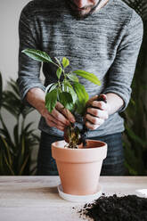 Mann, der Schlamm in einen Blumentopf gibt, während er eine Avocadopflanze zu Hause pflanzt - EBBF01824