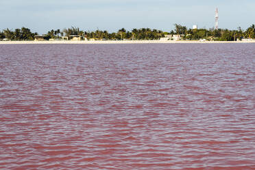 Mexiko, Yucatan, Las Coloradas, Ufer eines roten Salzsees - JMPF00741