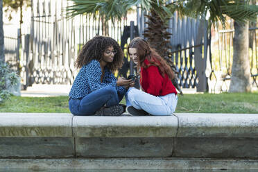 Lächelnde junge Frauen, die ein Mobiltelefon auf einer Stützmauer in einem öffentlichen Park benutzen - PNAF00311