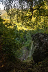 Wasserfall inmitten von Bäumen auf der Schwäbischen Alb, Deutschland - FDF00281