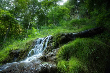 Schöner Wasserfall im grünen Wald, Schwäbische Alb, Deutschland - FDF00293