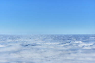 Clear sky over thick white fog - MRF02402