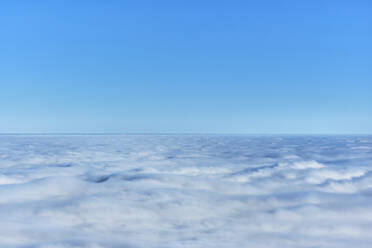 Klarer Himmel über dichtem weißen Nebel - MRF02402