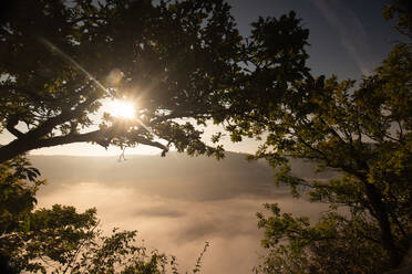 Blick auf das Donautal bei Sonnenaufgang in Beuron, Schwäbische Alb, Deutschland - FDF00324