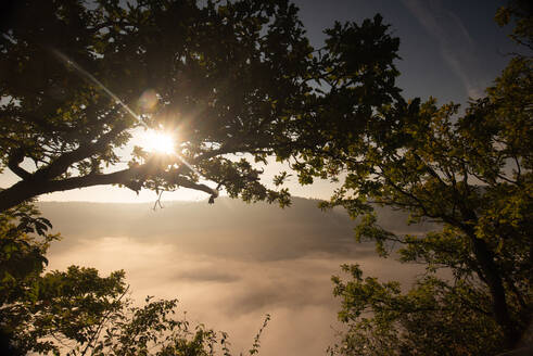 Blick auf das Donautal bei Sonnenaufgang in Beuron, Schwäbische Alb, Deutschland - FDF00324