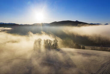 Luftaufnahme der in dichten Nebel gehüllten Herbstfelder bei Sonnenaufgang - WWF05741