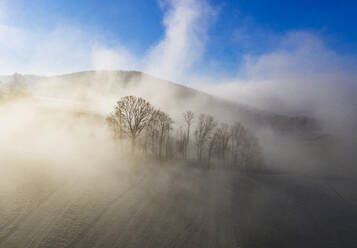 Aerial view of autumn fields shrouded in thick fog at dawn - WWF05742