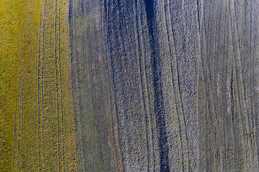 Drohnenansicht eines vereisten Feldes im Winter - WWF05745