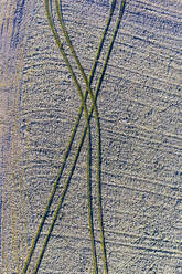 Drone view of tire tracks across frosted field in winter - WWF05746