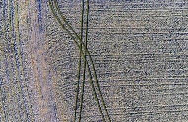 Drone view of tire tracks across frosted field in winter - WWF05747