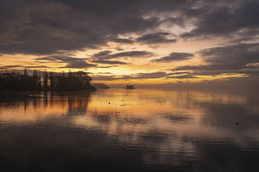 Bodensee bei bewölktem Sonnenaufgang - ELF02322