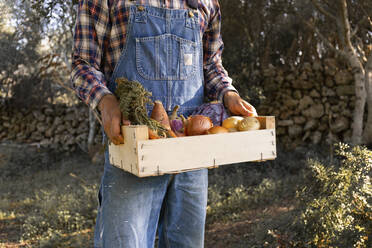 Young man holding vegetable crate at farm - JPTF00605