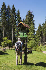 Älterer Rucksacktourist kontrolliert Wegweiser im Thüringer Wald - GWF06798
